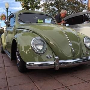 Meet your Posher, Perry